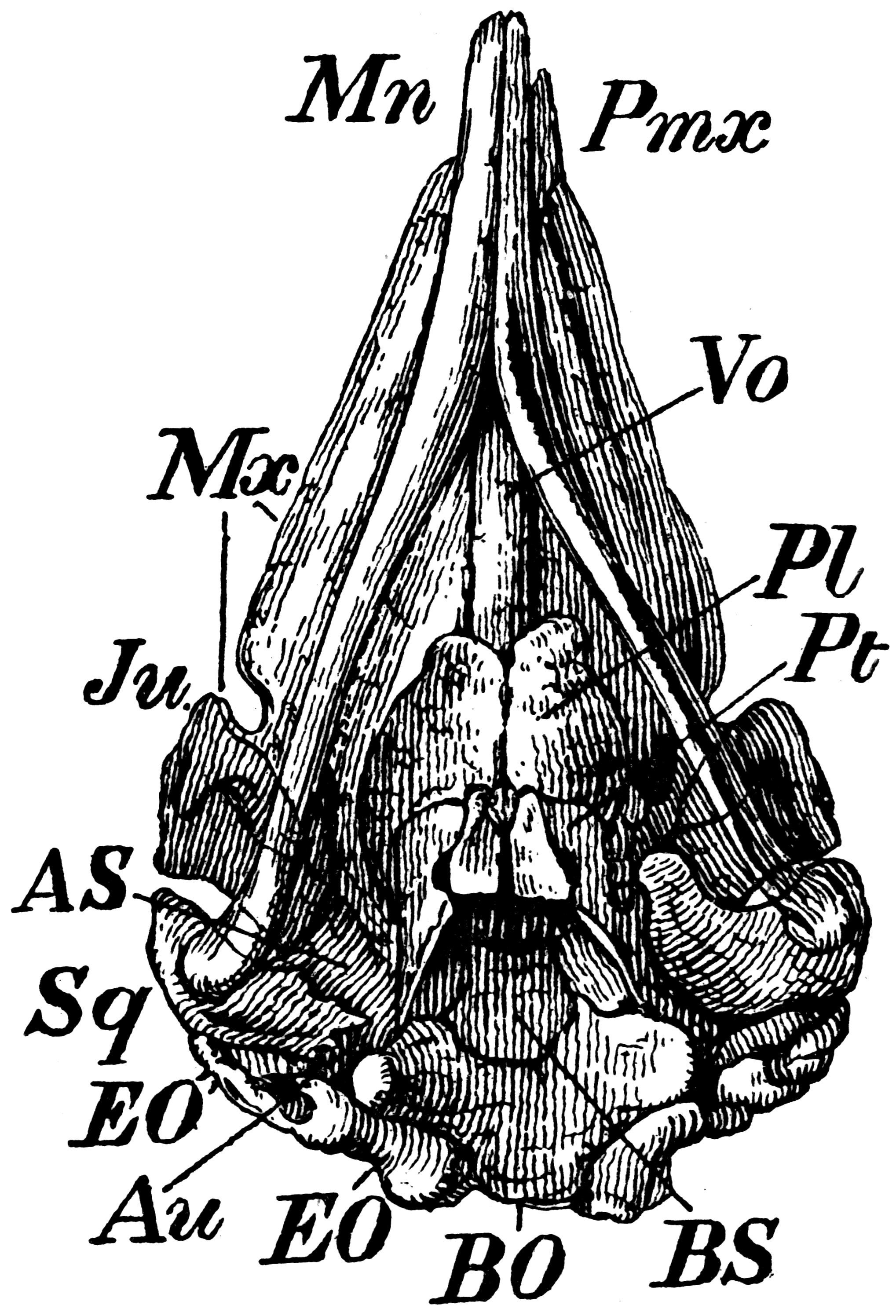 brand image